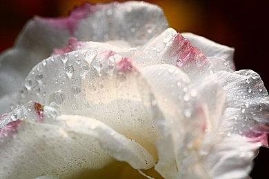 《异度神剑3》通过ESRB评级 拥有暴露的装备和角色